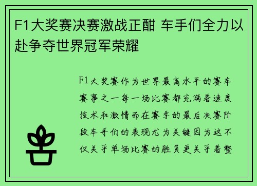 F1大奖赛决赛激战正酣 车手们全力以赴争夺世界冠军荣耀