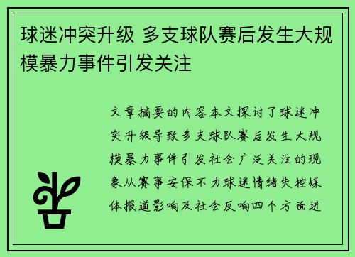 球迷冲突升级 多支球队赛后发生大规模暴力事件引发关注