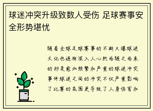 球迷冲突升级致数人受伤 足球赛事安全形势堪忧